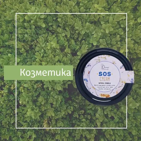 CASYOPEA — снимка 2 от сайта на фирмата