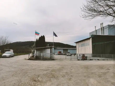 МЕГАФРУТ — снимка 2 от сайта на фирмата