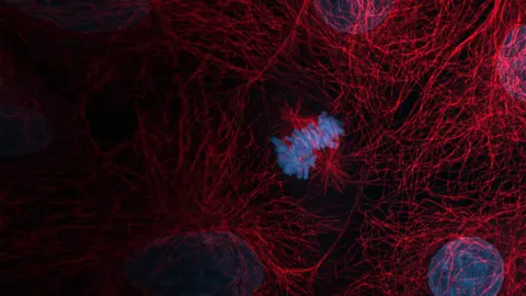 Microoptica ООД — снимка 4 от сайта на фирмата