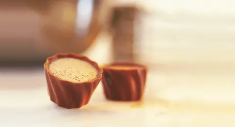 Инкофудс ООД — снимка 2 от сайта на фирмата