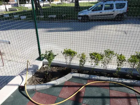 Литарски ООД — снимка 7 от сайта на фирмата
