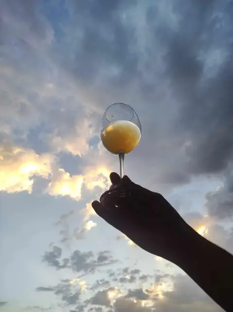 Vino Orenda — снимка 2 от сайта на фирмата
