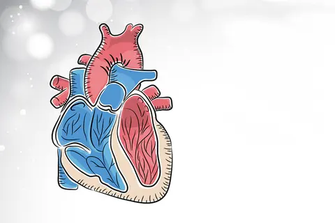 heart_Ofq-