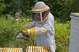 images(2)_DIi2