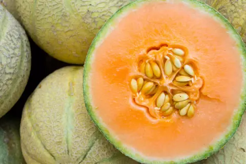 melon-seeds-pupesh2_--gL