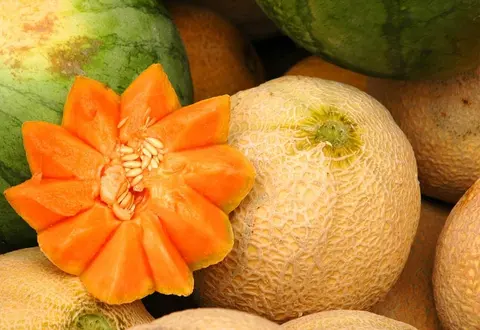 melon_780_UkoL