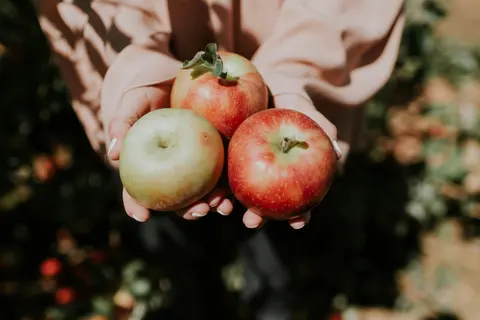 natalie-grainger-DapP9j2DJMQ-unsplash_8IjM