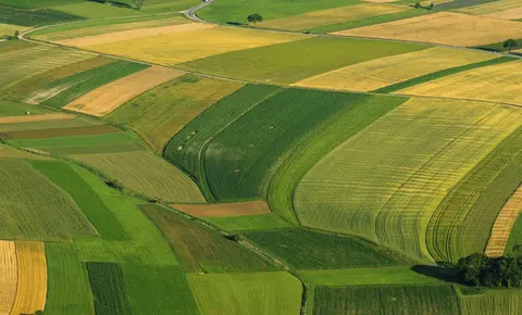 orig-orig-zemia-selsko-stopanstvo-zemedelie_dv-8