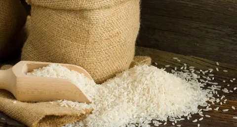 Земеделски производител на ориз Ковачево - Райс-Агро