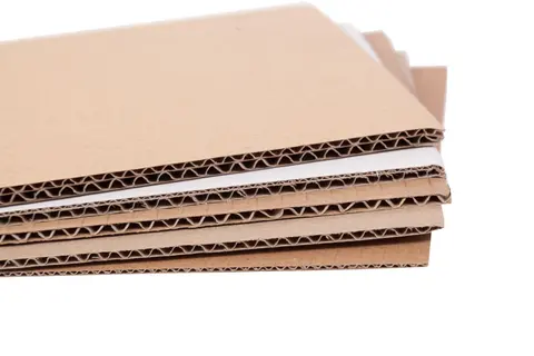 phpThumb-generated-thumbnailjpg-eHmT-2157_mIdm