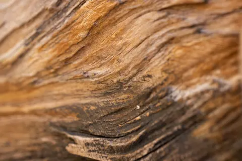 wood-6674433_1280_zN53