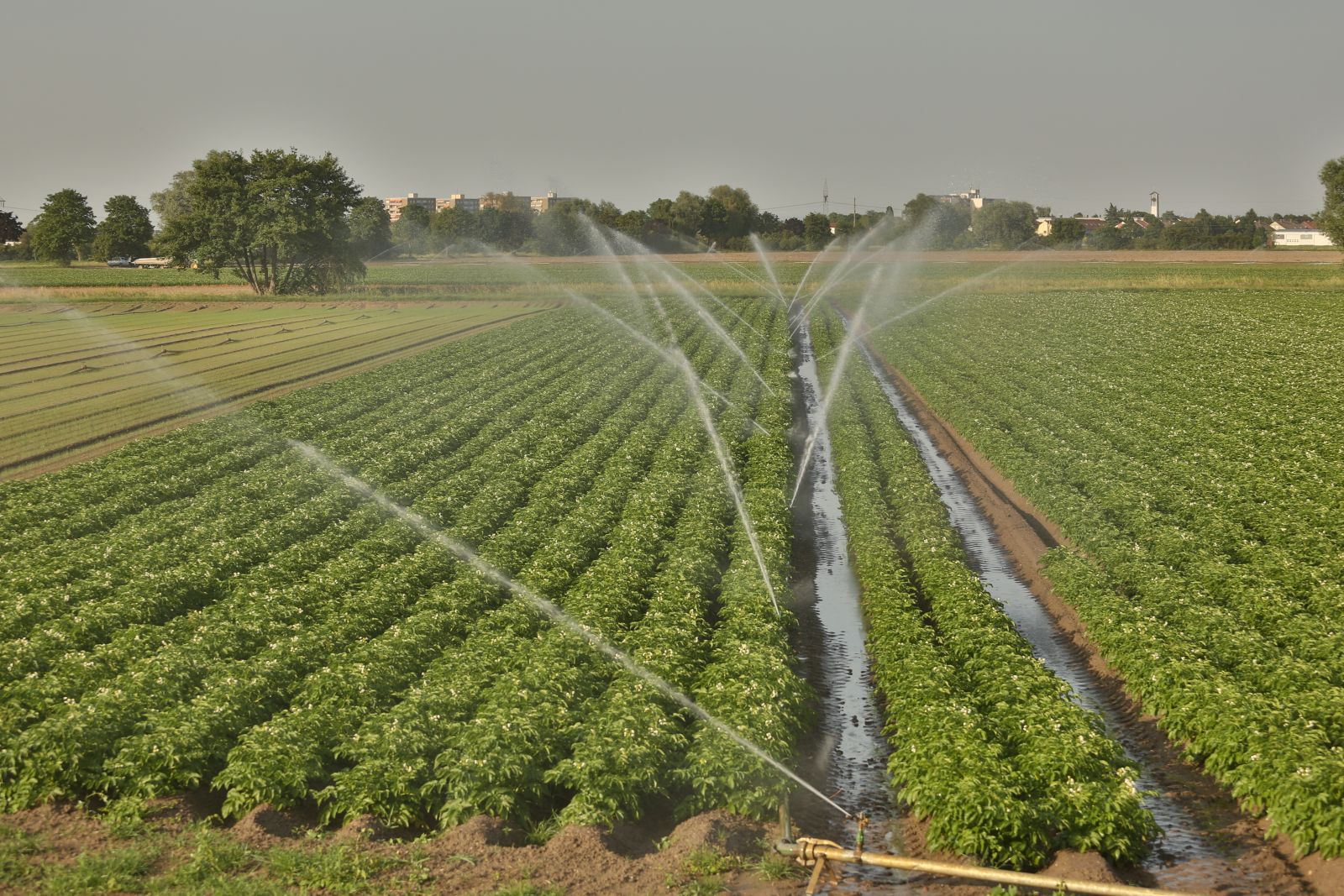 АГРО ВЕДЕМА 31143