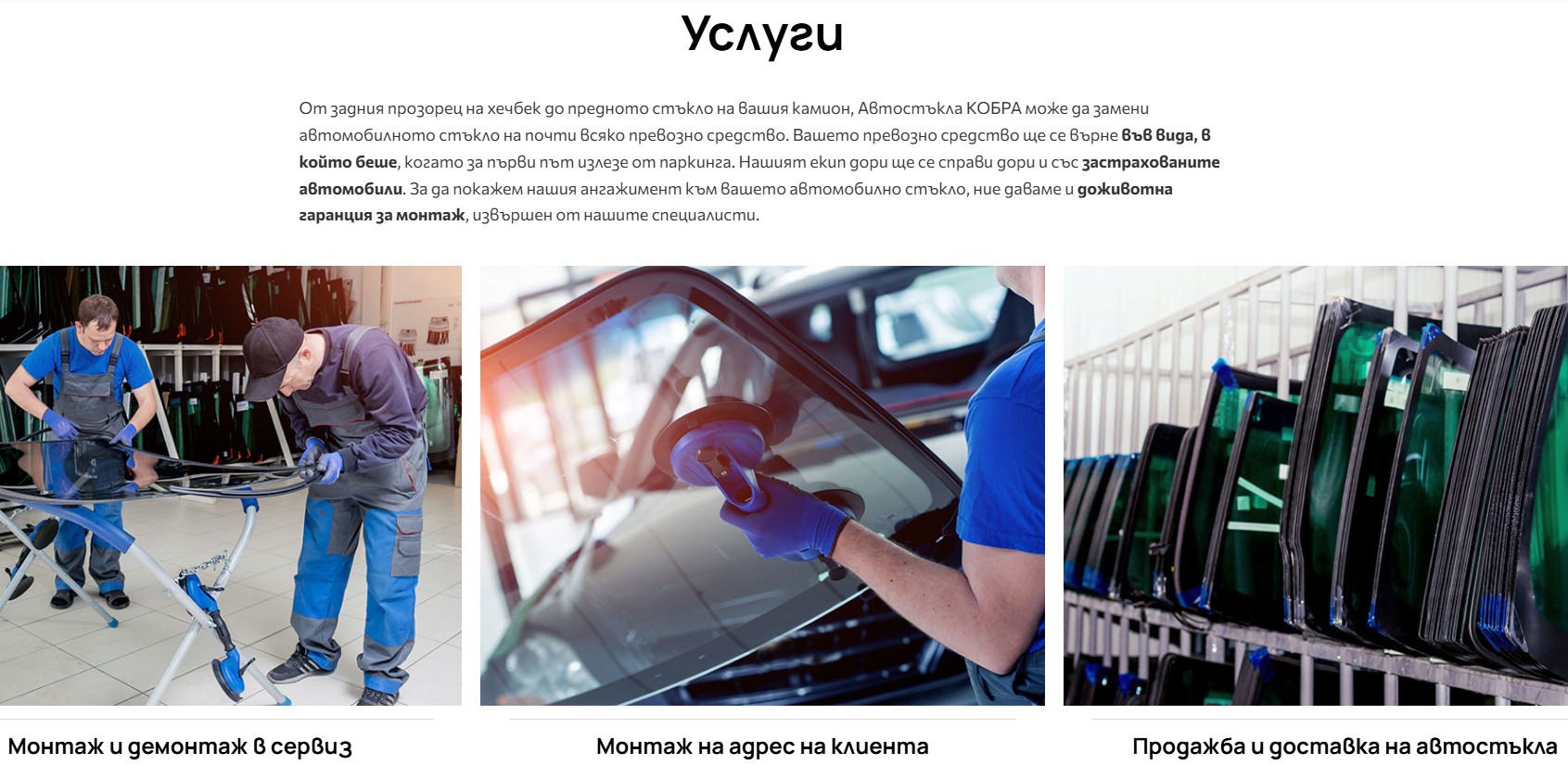 АВТОСТЪКЛА КОБРА ЕООД 30850