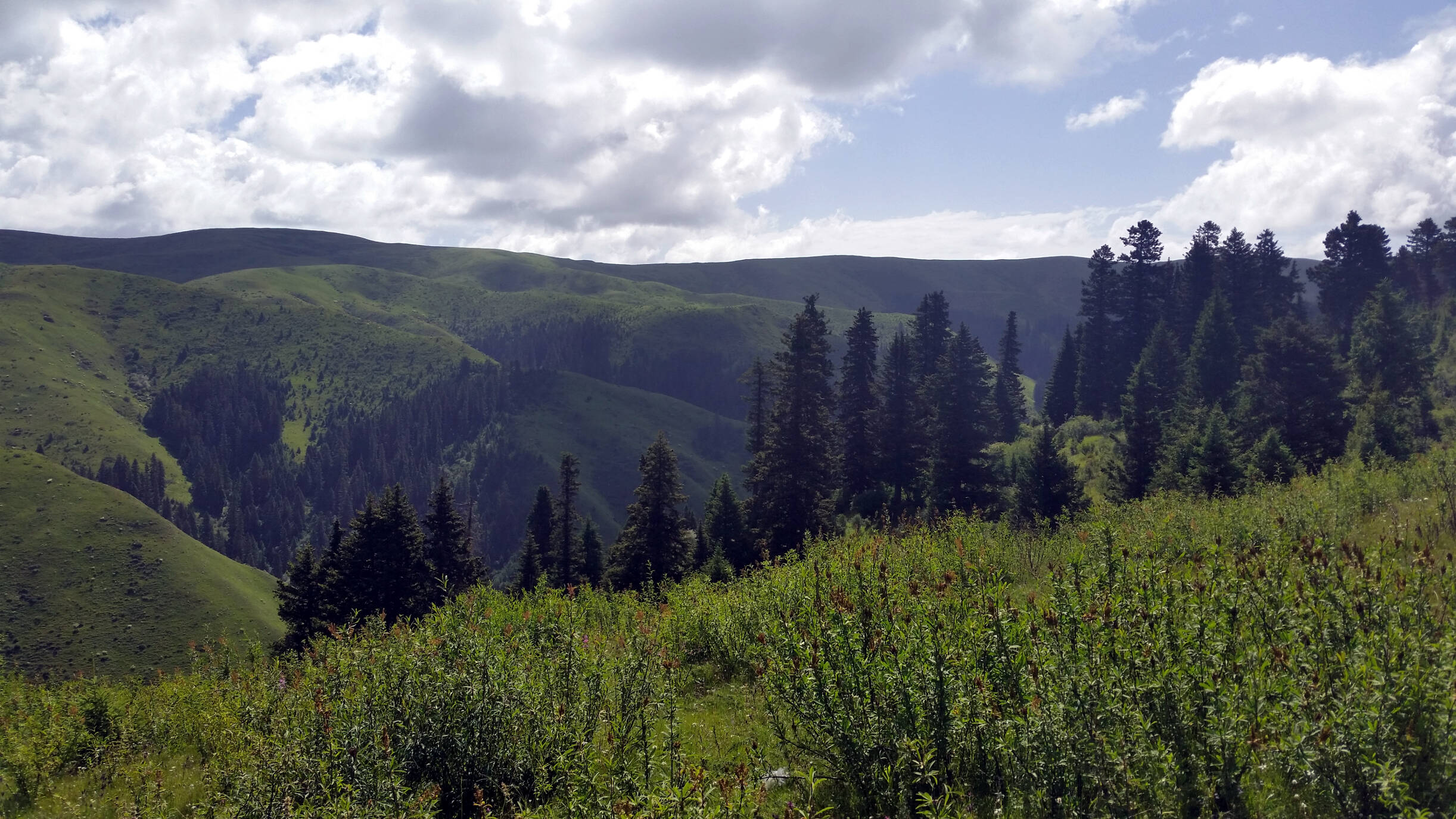 Ловно рибарско дружество Септември 21968