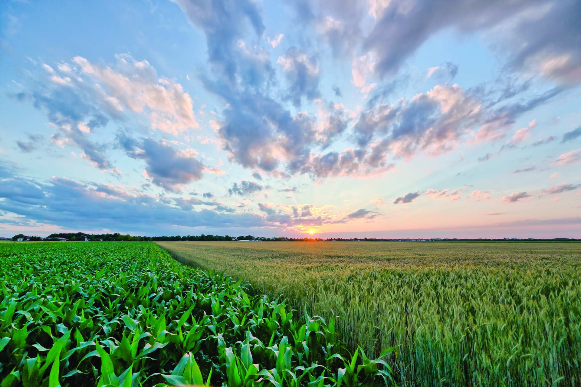 СТИЛ ТРЕЙД ЕООД 21099