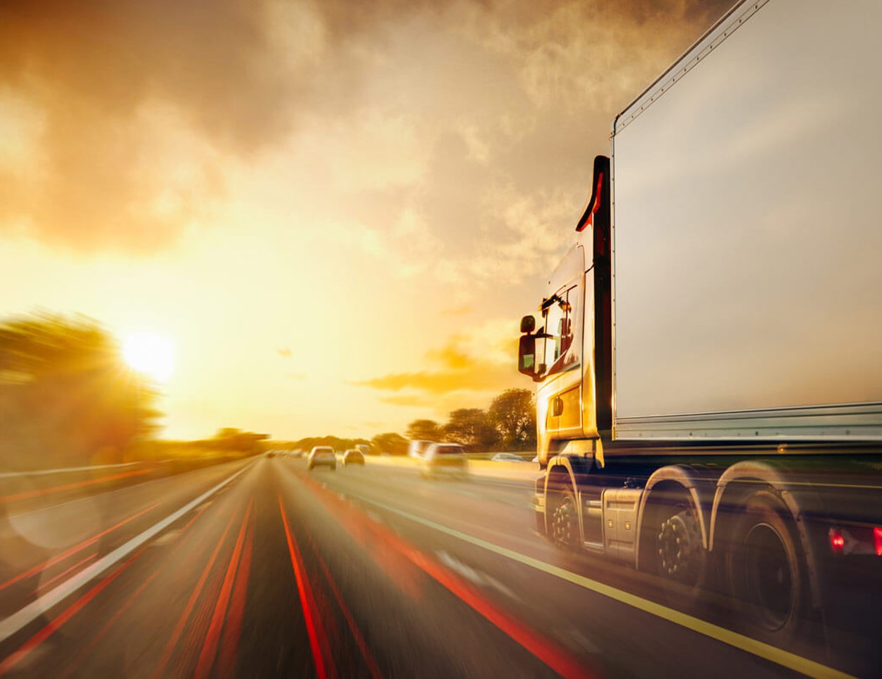 Транспортна фирма Русе - Мустанг Транс България 30977