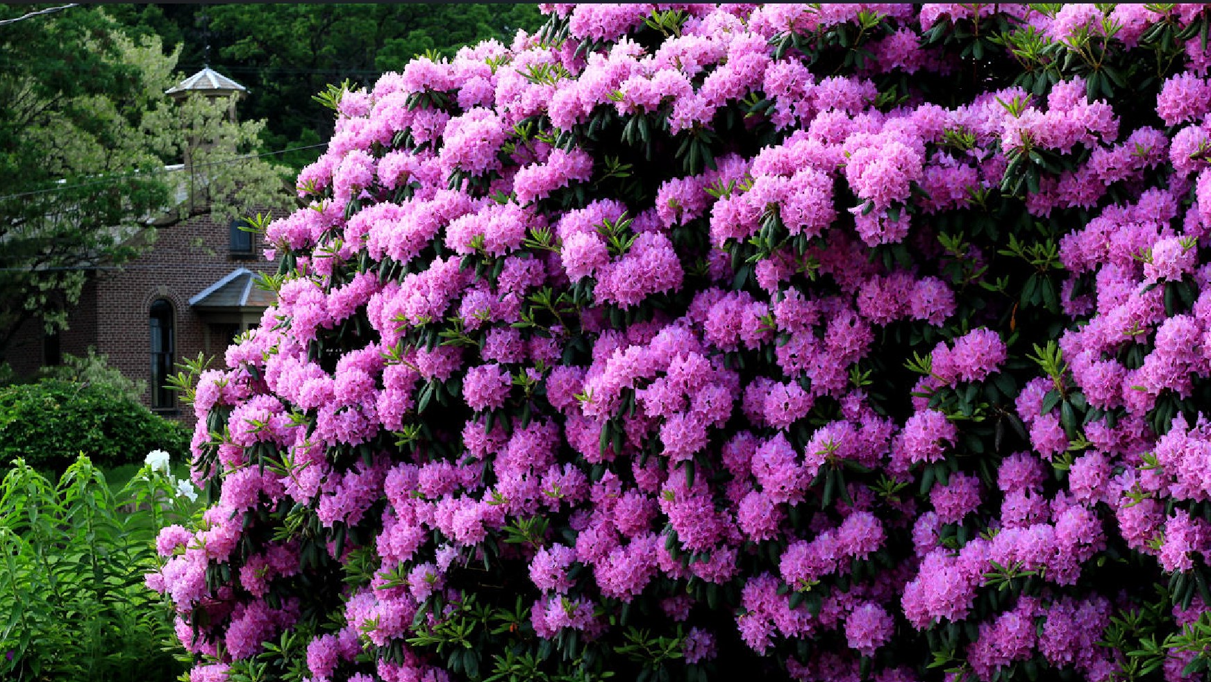 Тати Арт ООД Равно поле 28757