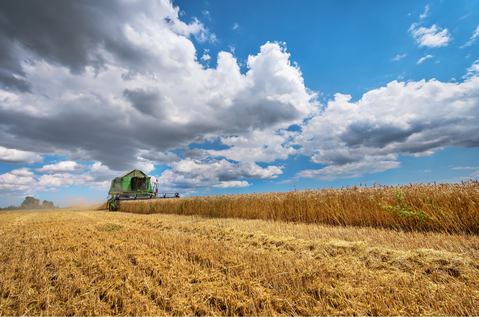 Добрев Агроинвест ЕООД Обретеник Земеделие 30988