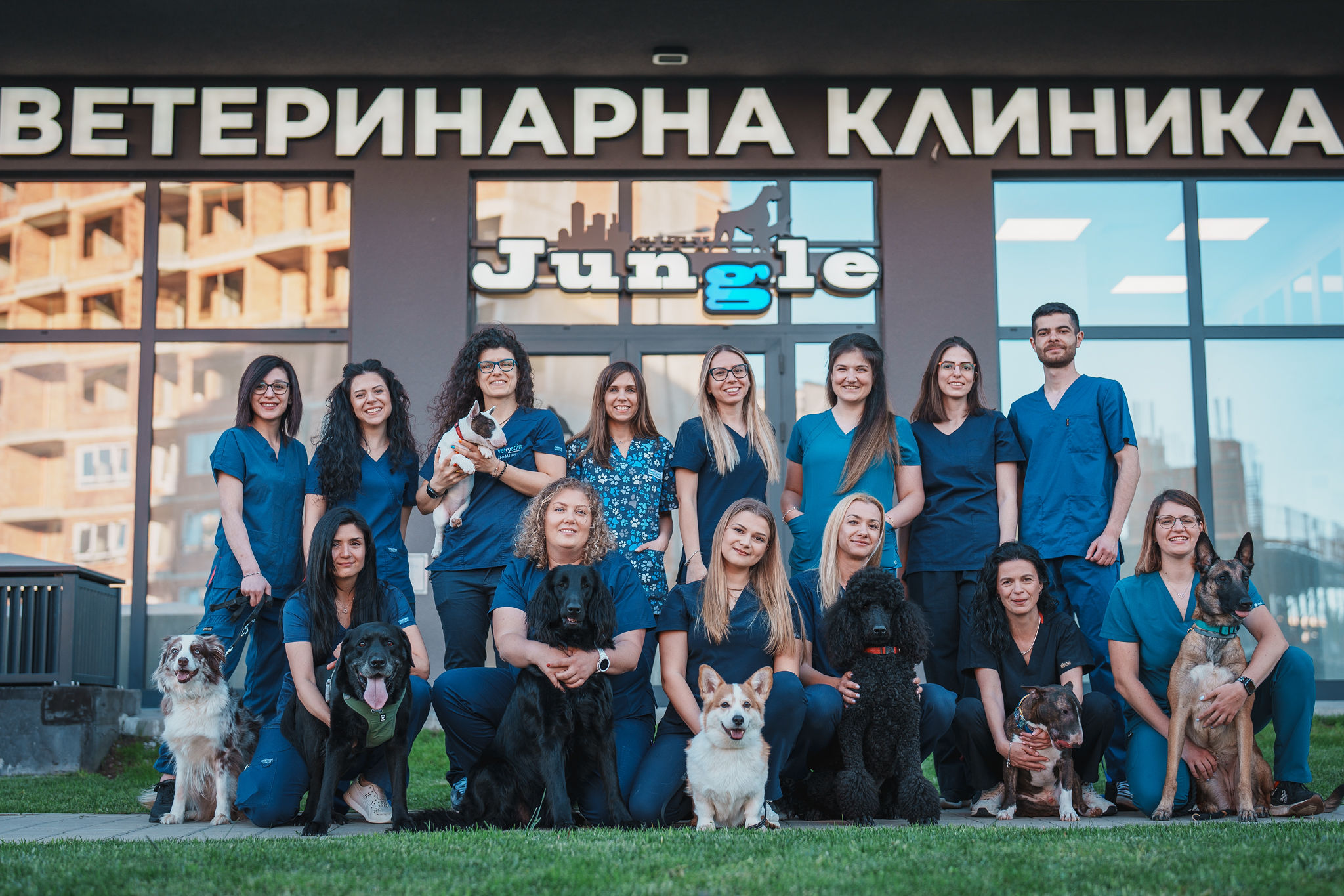 Сити Джънгъл - Ветеринарна клиника София 31309