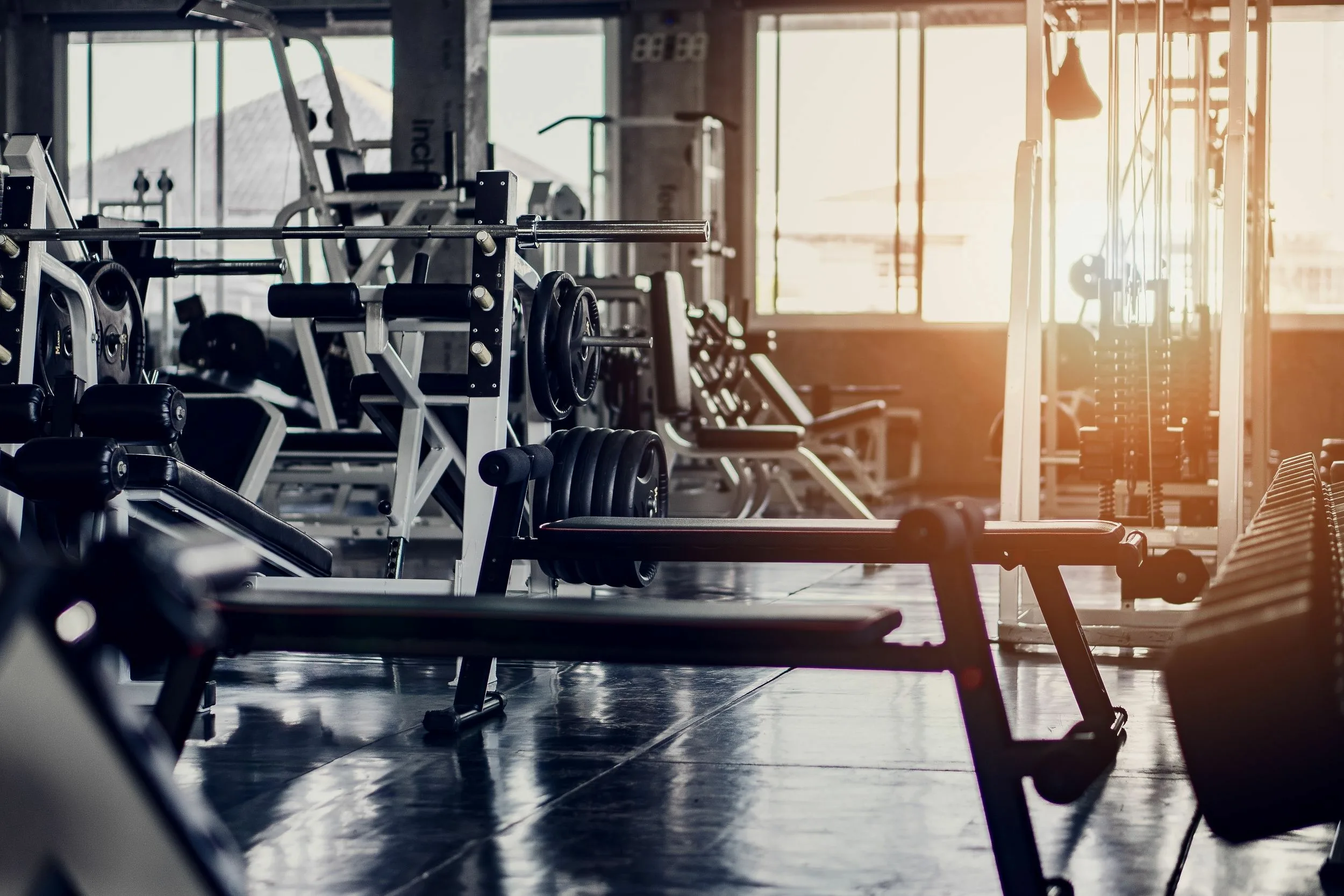 Tsvetomir Ivanov Personal trainer 31179