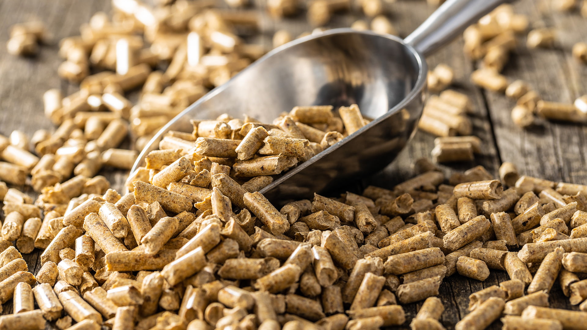 Производство пелети Долна баня Чам Лес 22 ЕООД 31097