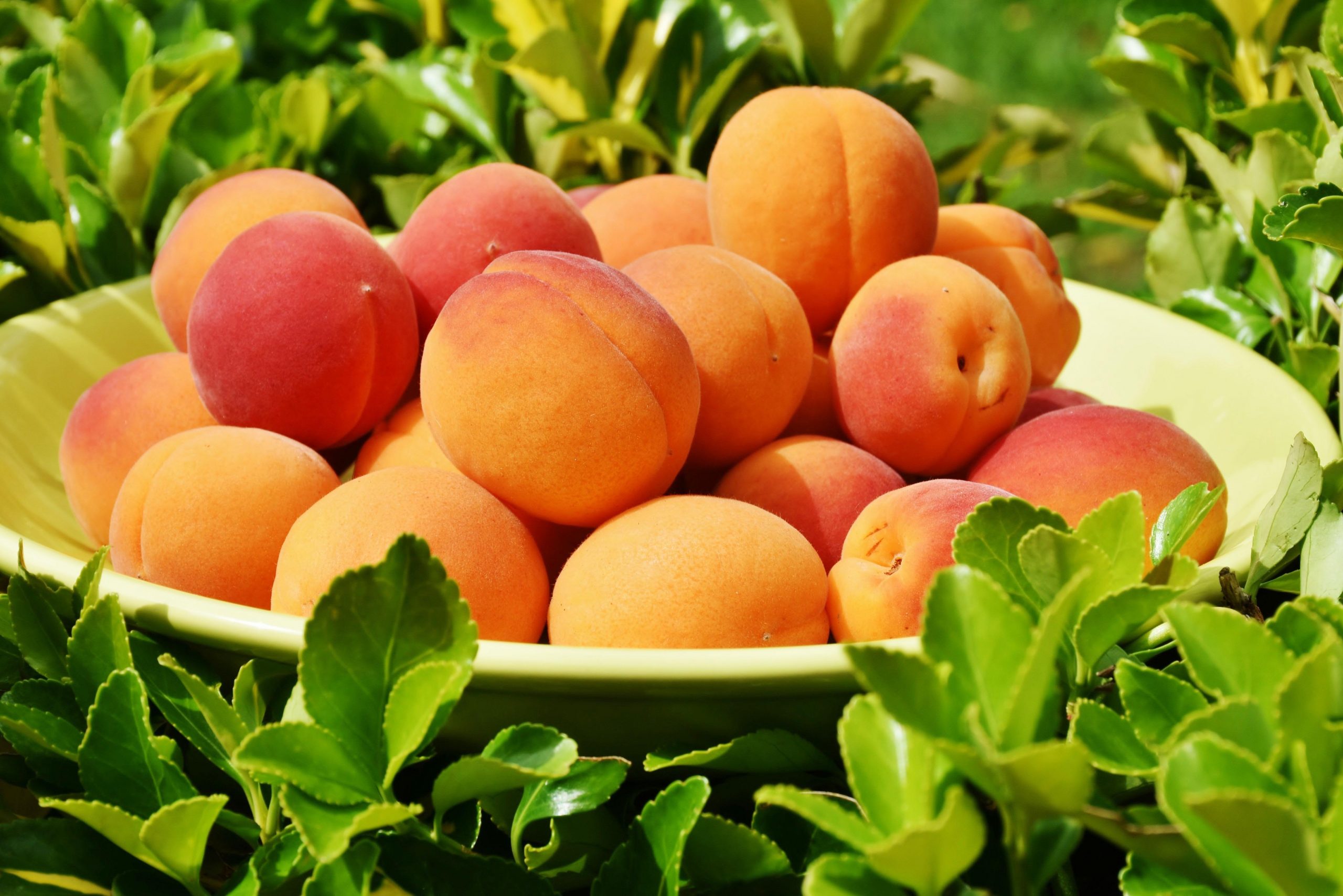 ЗП ЙОРДАНКА ГЕОРГИЕВА СТЕФАНОВА  28366