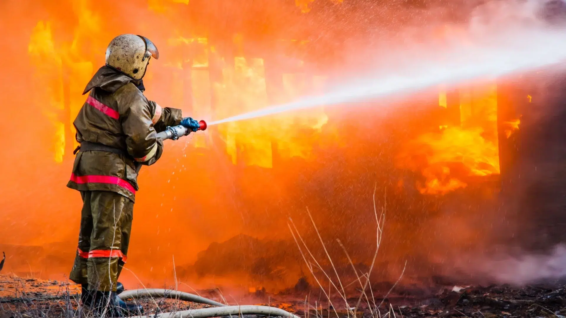 ПРОДАЖБА ЗАРЕЖДАНЕ И РЕМОНТ НА ПОЖАРОГАСИТЕЛИ СОФИЯ ЕЛИН ПЕЛИН ПУХ СТОЯН ЦИГОВ 30982