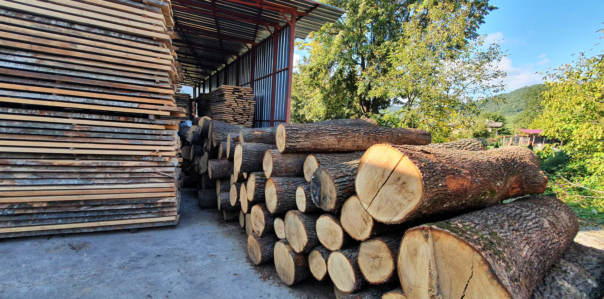 Алтея Обработка и продажба на дървен материал Омуртаг 28348