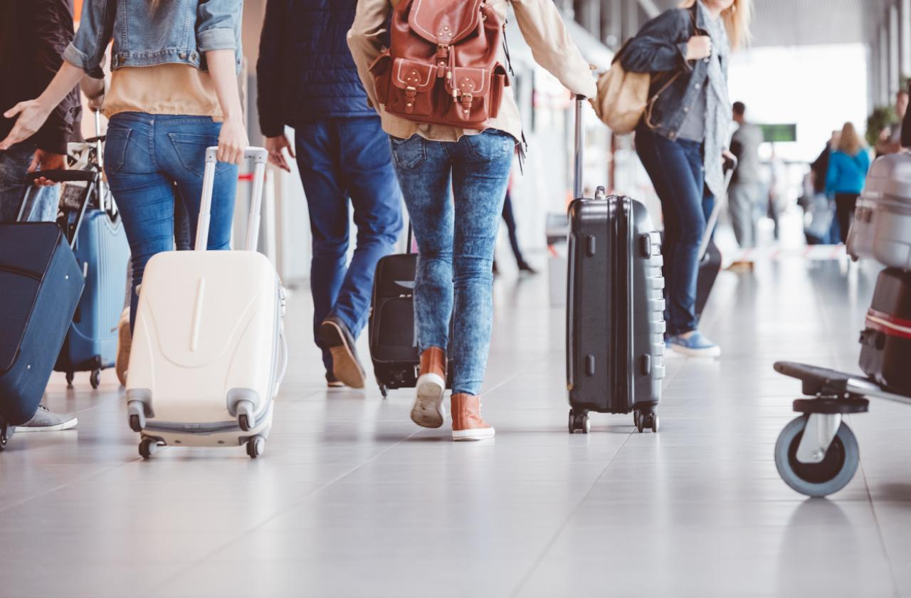 Международен транспорт и превоз на пътници DaniMar Travel  31280