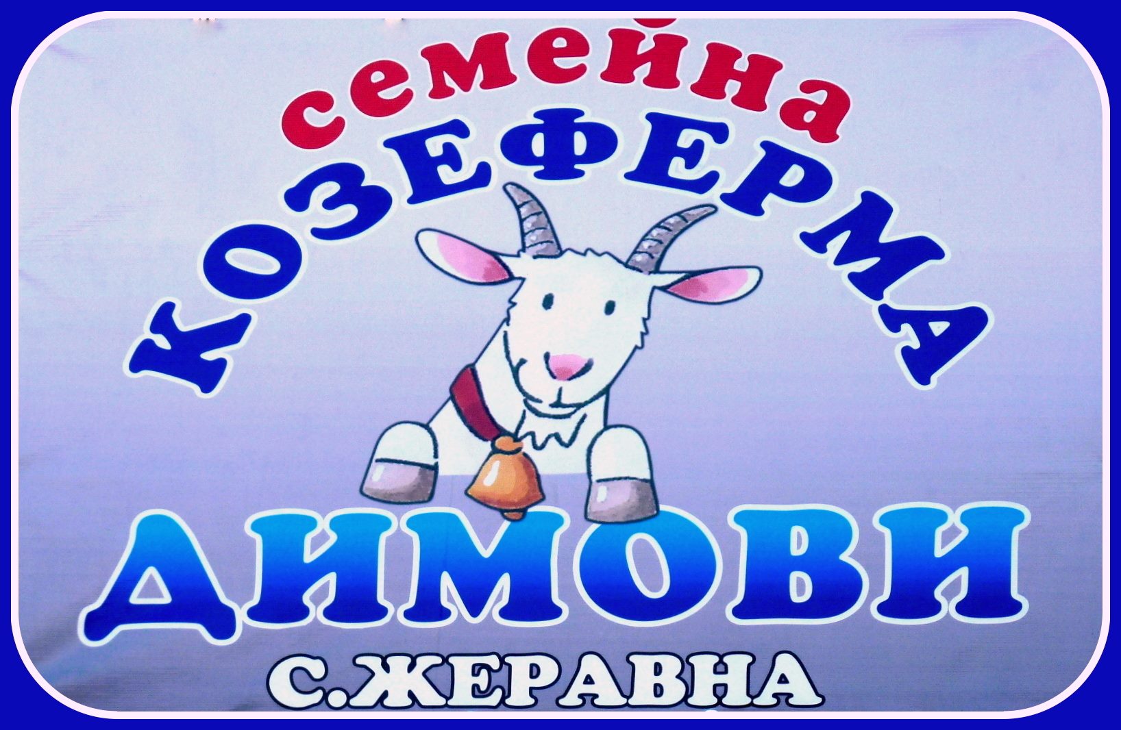ЗП Димитринка Михалева