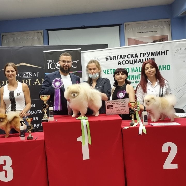 Зоомагазин Zoozona