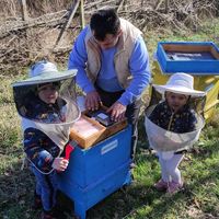 Пчелин Цалкови - Пчелен мед и пчелни продукти Реселец