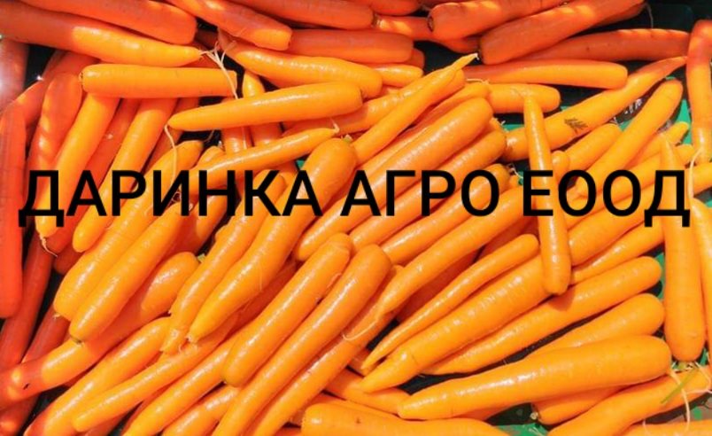 Даринка Агро - отглежда и търговия с моркови Град Пловдив