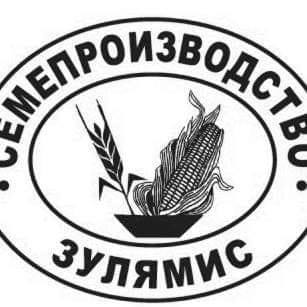 Семена Зулямис