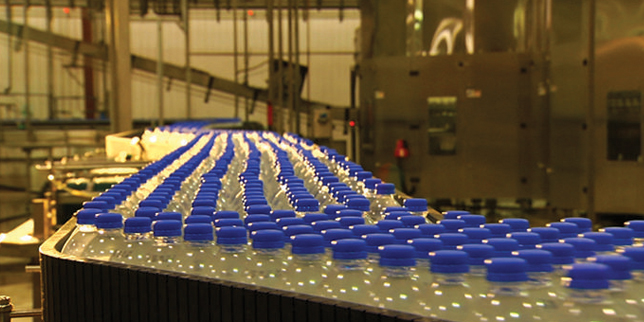 Производител на база Гагово ДЕЛФИН 22 ЕООД