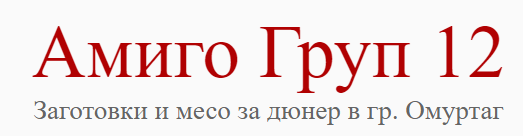 Амиго Груп 12