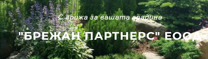 БРЕЖАН ПАРТНЕРС