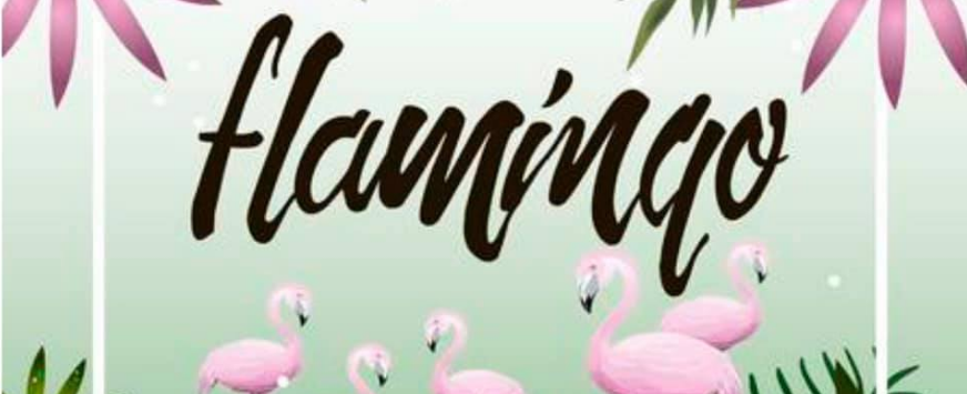 Bar Club Flamingo