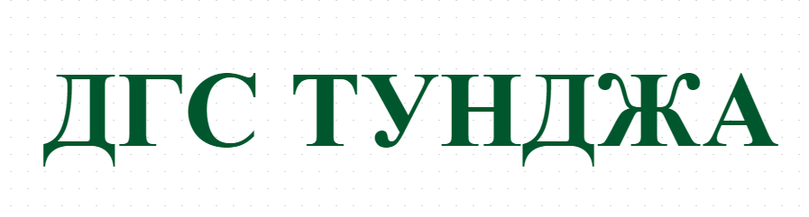 ДГС ТУНДЖА 