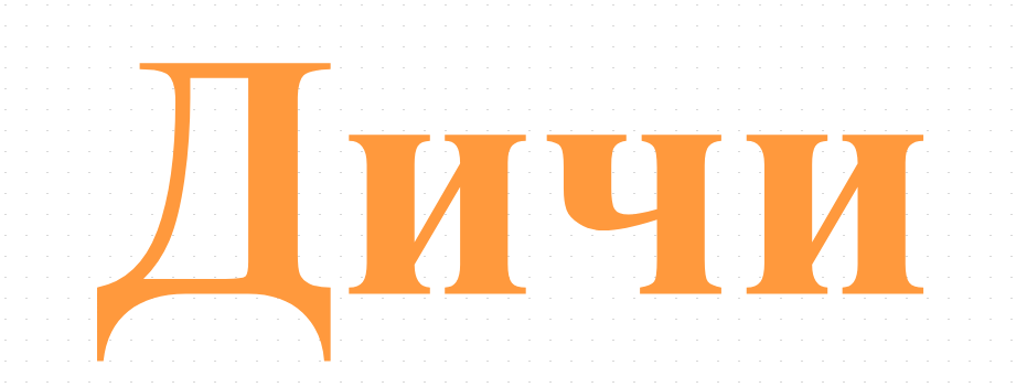 Дичи