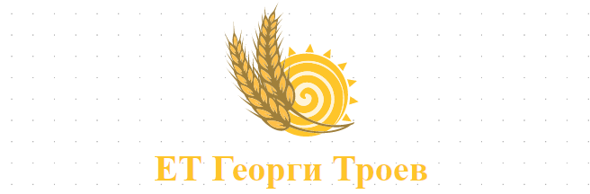 ЕТ Георги Троев