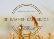 ЕТ ПЛАМЕН КАРАВЕЛОВ 