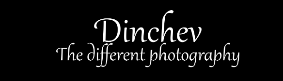 Фотограф Тодор Динчев