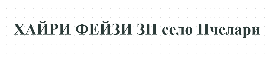  ХАЙРИ ФЕЙЗИ ЗП село Пчелари