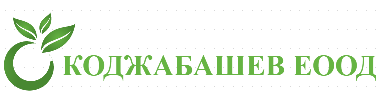 КОДЖАБАШЕВ ЕООД