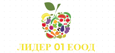 ЛИДЕР 01 ЕООД