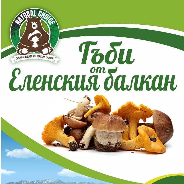 Нейчъръл Чойс ЕООД