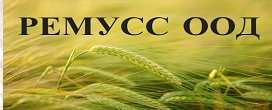 РЕМУСС