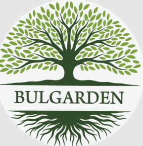 Булгарден