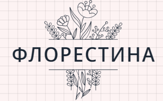FLORESTINA - Magazin za tsvetya Sofiya